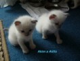 /album/atillo-a-pady/a28-8-09-ii-114-jpg/
